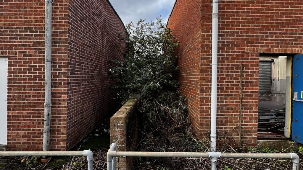 What Happens If You Ignore Party Wall Etiquette Kingston upon thames
